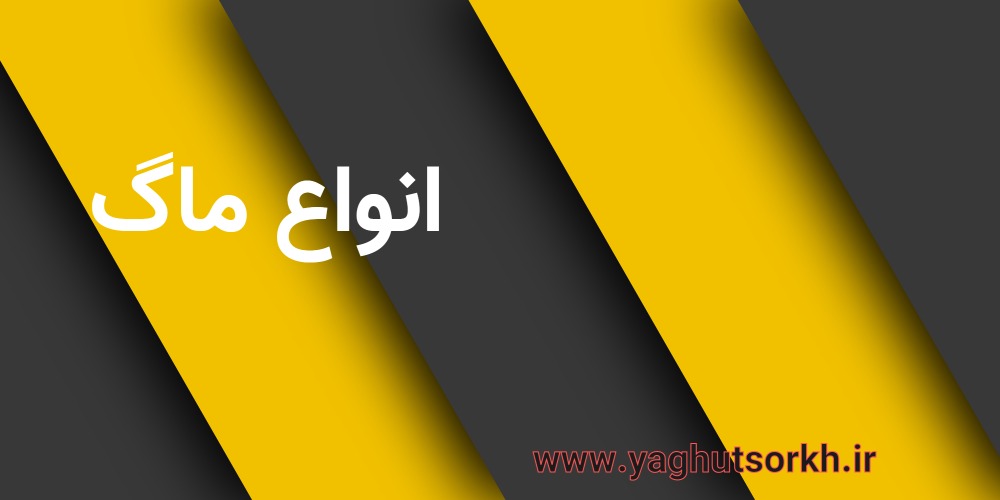  ست کیف پول و کمربند چرم
